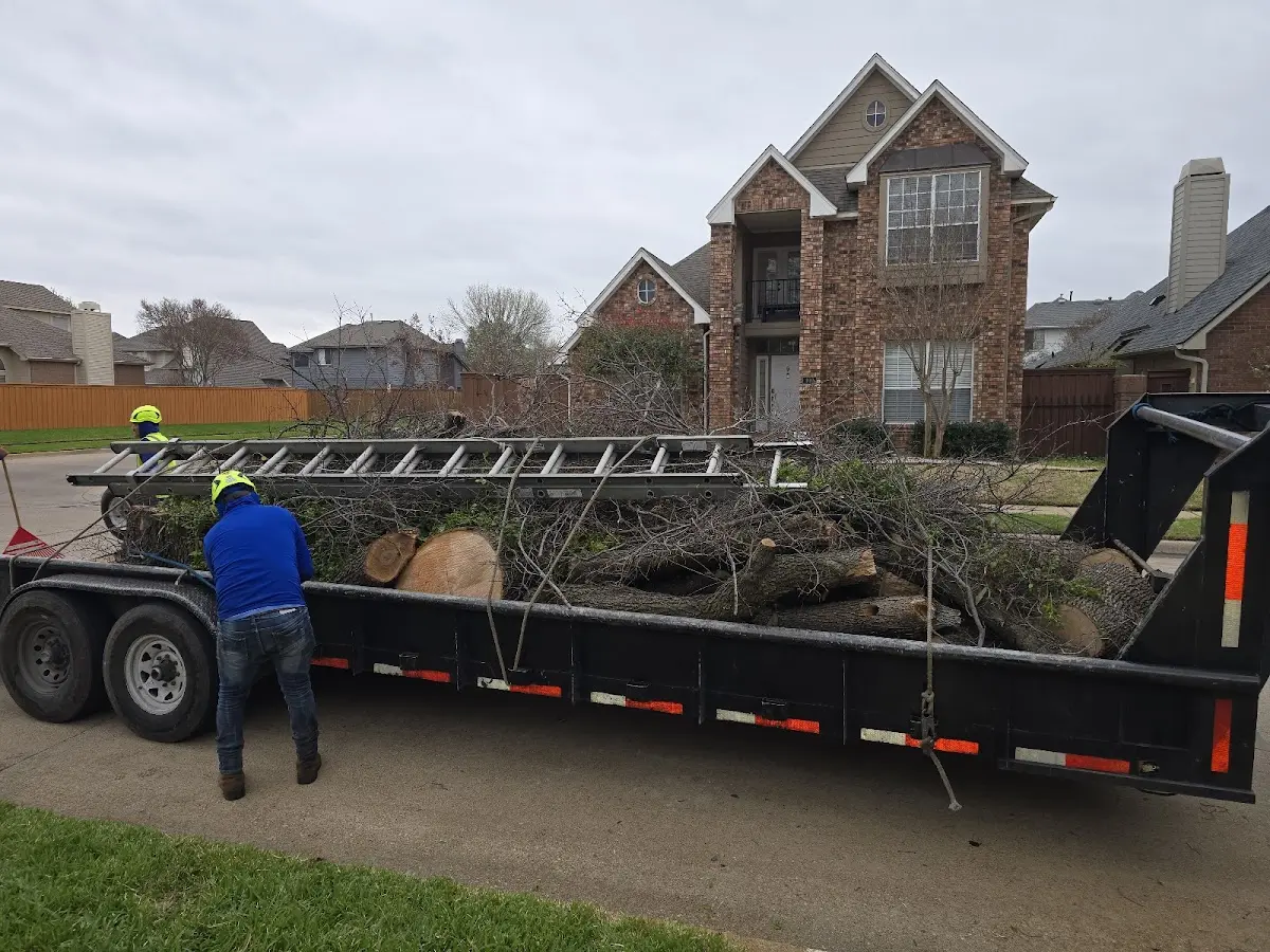 Expert Tree Removal with proper safety equipment in Apple Creek